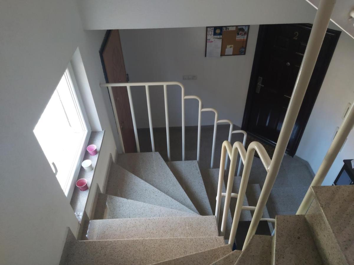 Celus Apartments Ohri Dış mekan fotoğraf